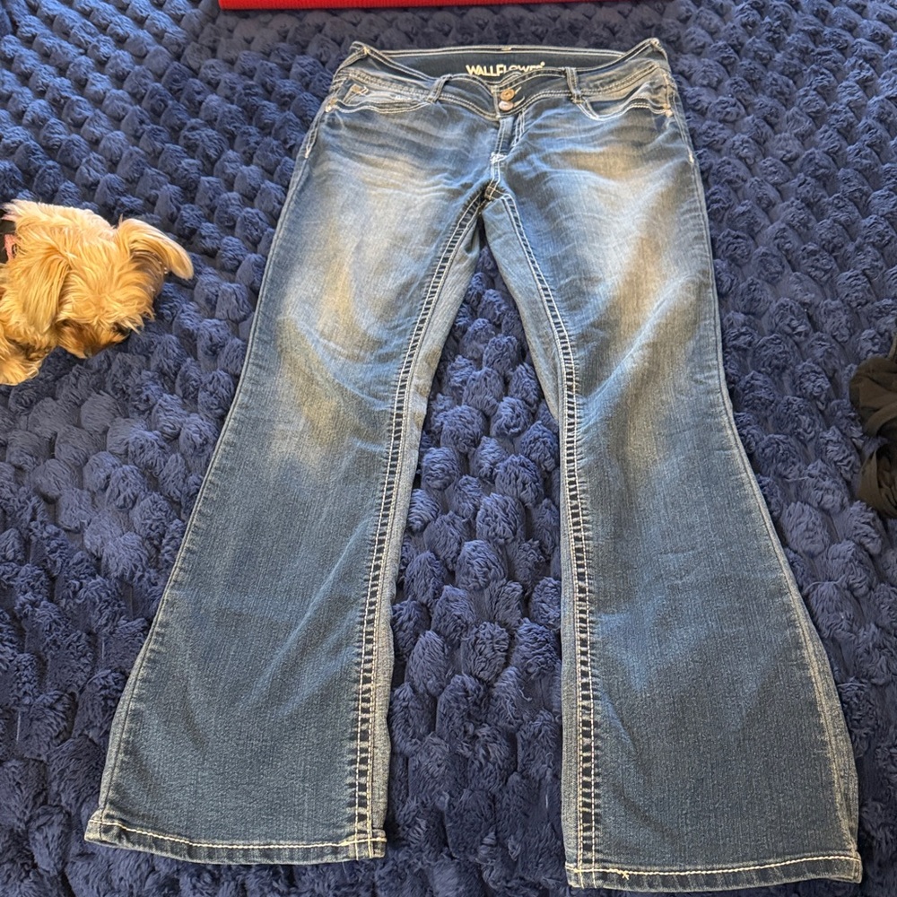 Wallflower Light Blue Flare Jeans